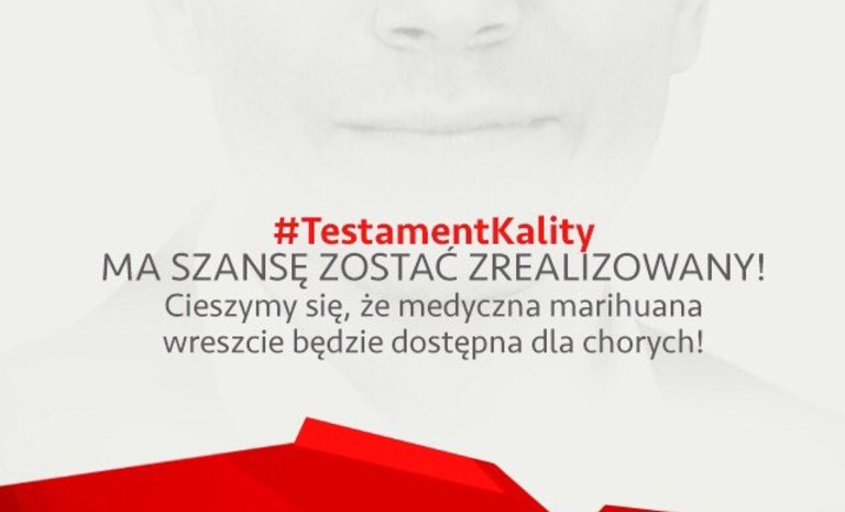 Marihuana lecznicza została wprowadzona w drodze ustawy